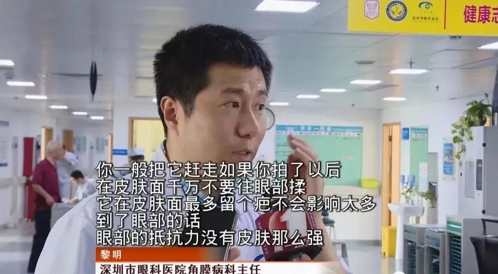 男子随手拍死它，却被迫摘除眼球！近期很多人家里有