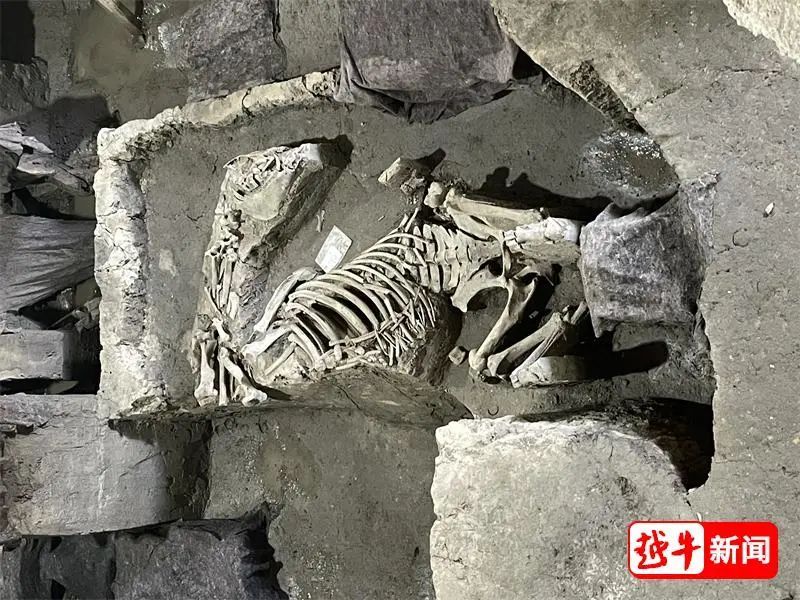 绍兴稽中遗址考古，又有重大发现！