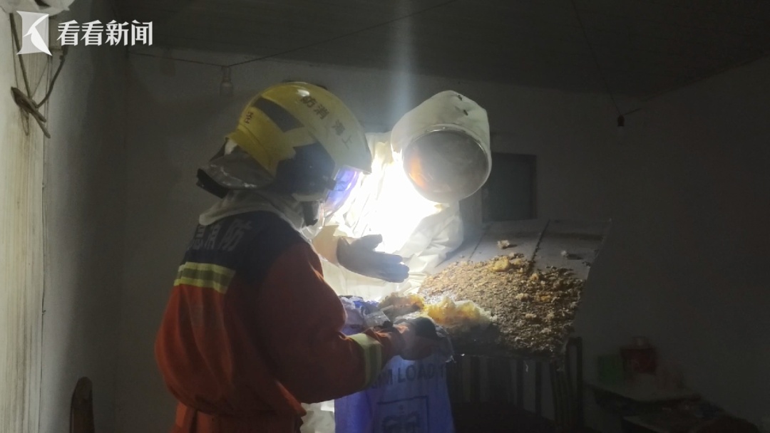 窗外密密麻麻，已进入高发季……千万别去碰！