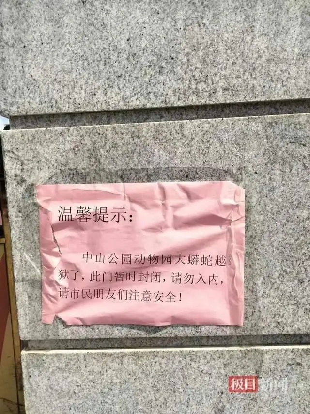 一手臂粗大蟒蛇“缩骨越狱”？涉事动物园：已报警！