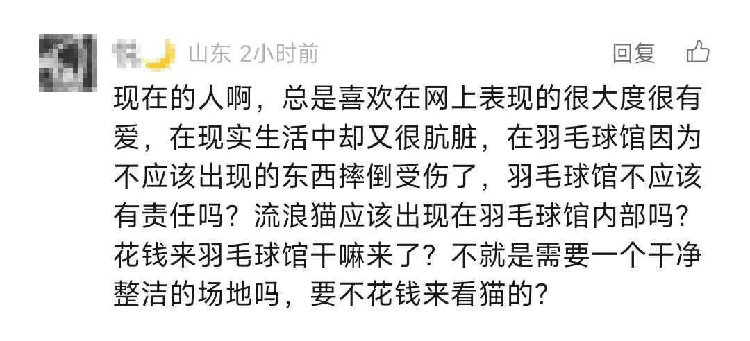 男子被流浪猫绊倒，投喂者被判赔4.8万元！网友吵翻