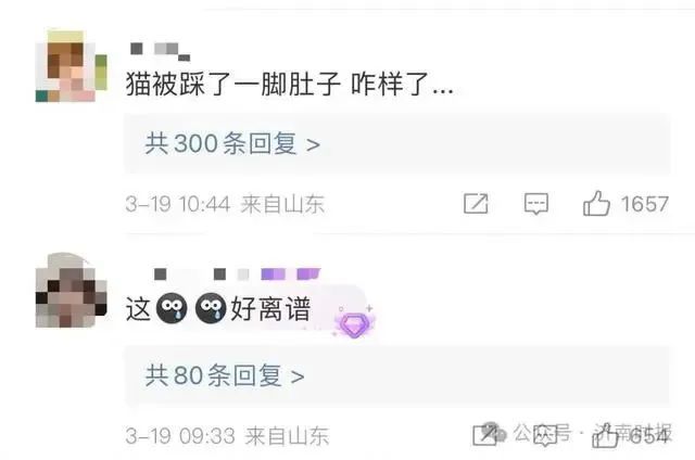 “男子被流浪猫绊倒投喂者全责赔24万”案再审改判:场馆担责80%,投喂者20% “男子被流浪猫绊倒投喂者全责赔24万”案再审改判:场馆担责80%,投喂者20%