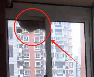 窗外密密麻麻，已进入高发季……千万别去碰！