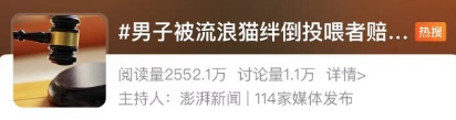 沪一男子被流浪猫绊倒，投喂者赔24万？网友热议！有反转→