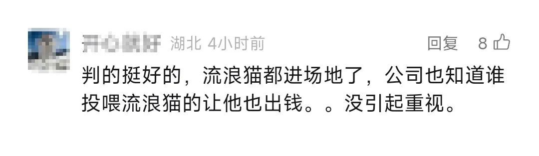 男子被流浪猫绊倒，投喂者被判赔4.8万元！网友吵翻