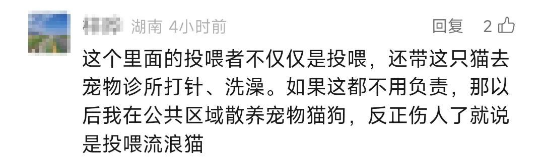 男子被流浪猫绊倒，投喂者被判赔4.8万元！网友吵翻
