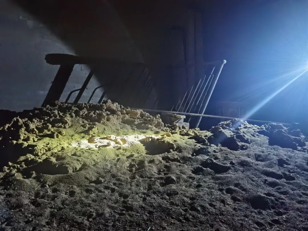 “蜂”狂大场面!居民家中惊现满地马蜂窝 “蜂”狂大场面!居民家中惊现满地马蜂窝