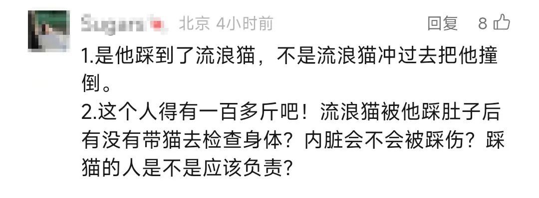 男子被流浪猫绊倒，投喂者被判赔4.8万元！网友吵翻