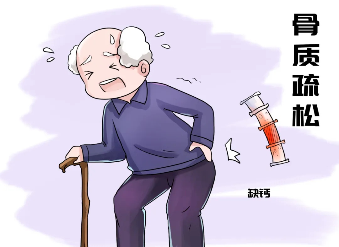 惊！肠道微生物还会影响骨骼健康！