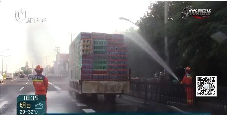 救命！救命！事发上海高速，上百只猪猪集体中暑，浑身通红...