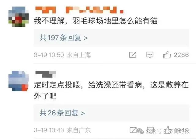 “男子被流浪猫绊倒投喂者全责赔24万”案再审改判:场馆担责80%,投喂者20% “男子被流浪猫绊倒投喂者全责赔24万”案再审改判:场馆担责80%,投喂者20%
