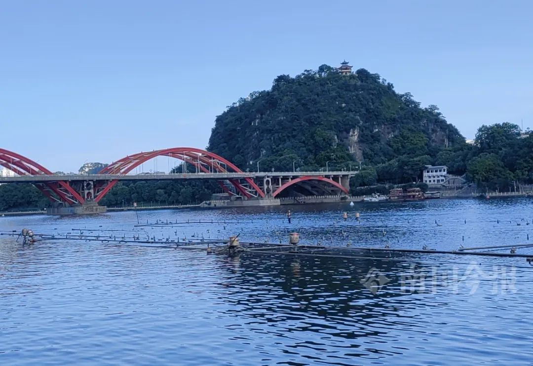 柳州这个“网红”沉入柳江一个多月，终于又升上来了！