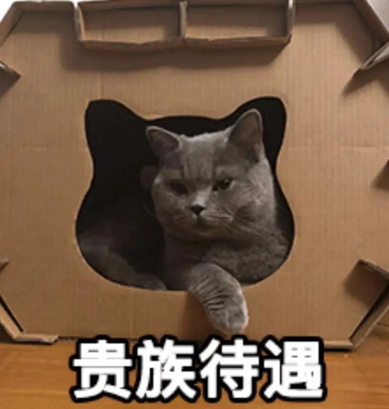 老公在顶楼养了30只鸡，成本还挺高，老婆说…...