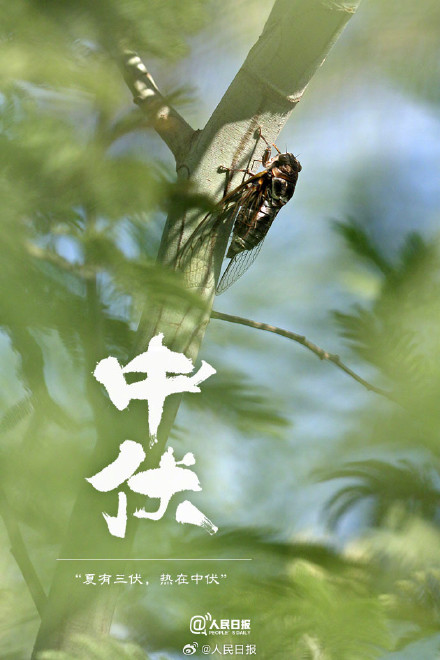 双中伏来了,注意防暑降温 双中伏来了,注意防暑降温