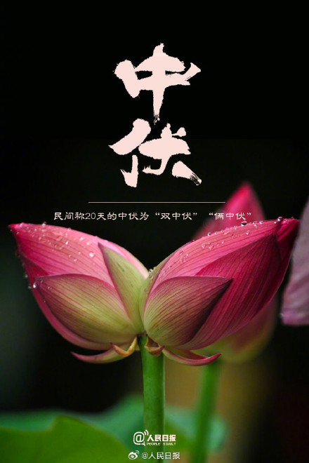 双中伏来了,注意防暑降温 双中伏来了,注意防暑降温