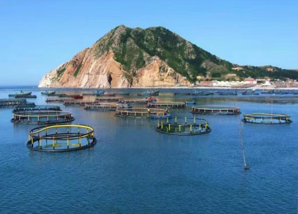 山东长岛：打造“蓝色粮仓”建设新范例