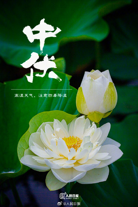 双中伏来了,注意防暑降温 双中伏来了,注意防暑降温