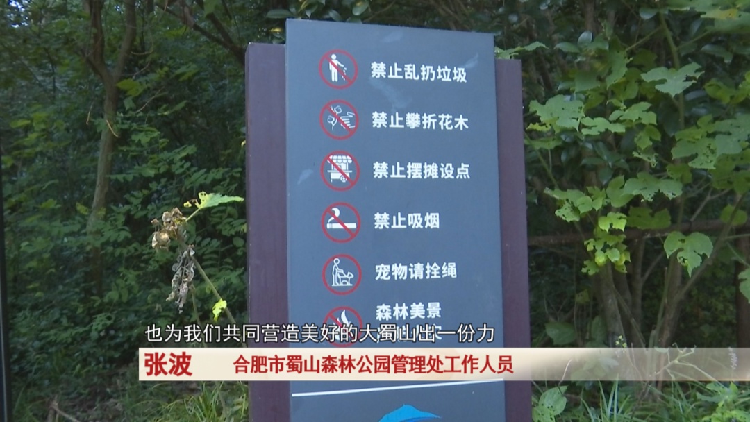 高温天气，合肥人去何处纳凉？