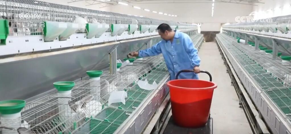 【深入学习贯彻市委九届九次全会精神】产业发展显活力 集体经济结硕果宝博体育- 宝博体育官网- 宝博体育APP下载 BaoBoSports