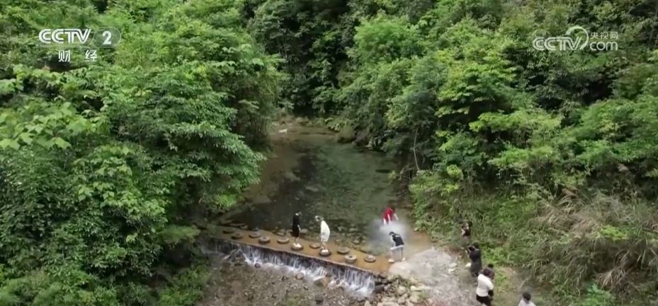 新玩法、新模式、新业态“欣欣向荣” 夏日旅游经济释放火热活力