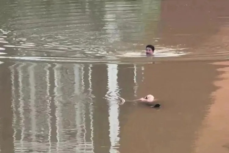 跑完五千米再游一百米 “蓝衣大哥”你这纵身一跃真帅