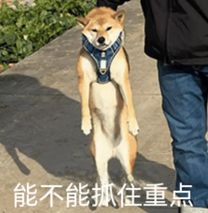 老公在顶楼养了30只鸡，成本还挺高，老婆说…...