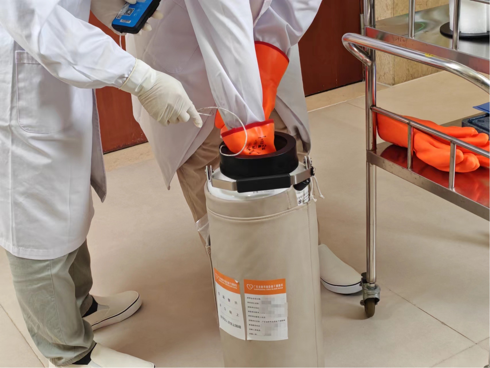 弟弟脐带血由粤赴港救治地贫姐姐