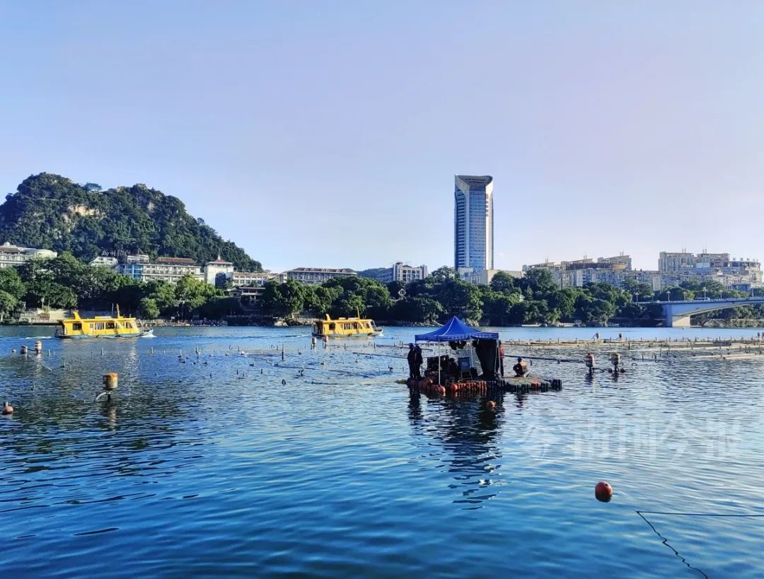 柳州这个“网红”沉入柳江一个多月，终于又升上来了！