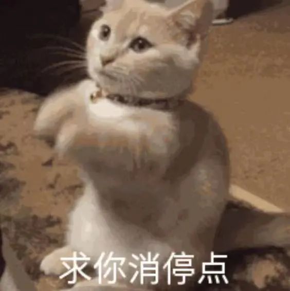 老公在顶楼养了30只鸡，成本还挺高，老婆说…...