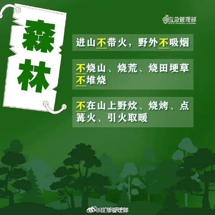 “格美”已登陆，风力15级！广东多地将有暴雨