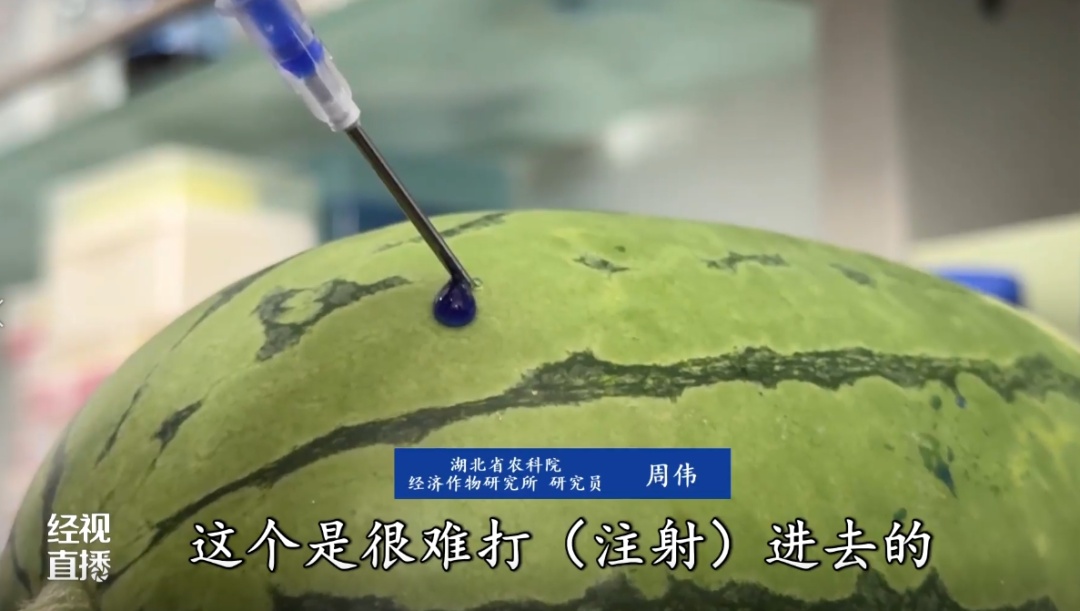 甜到齁!今年的西瓜为什么这么甜?打了甜蜜素?专家:警惕这一陷阱 甜到齁!今年的西瓜为什么这么甜?打了甜蜜素?专家:警惕这一陷阱