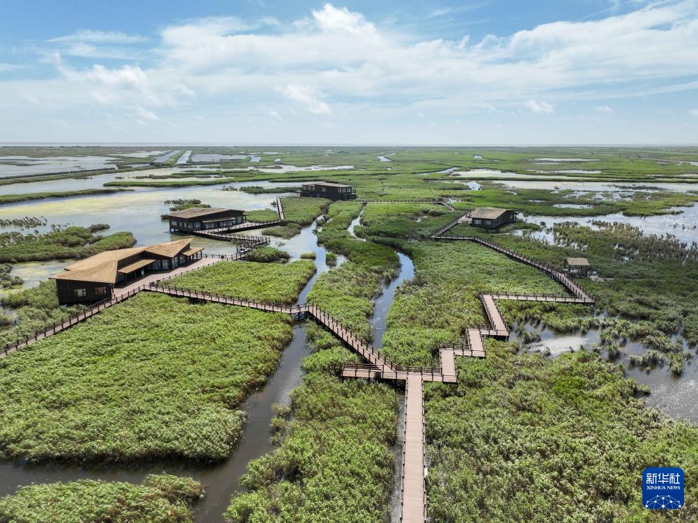 上海实现世界自然遗产“零”的突破 上海实现世界自然遗产“零”的突破