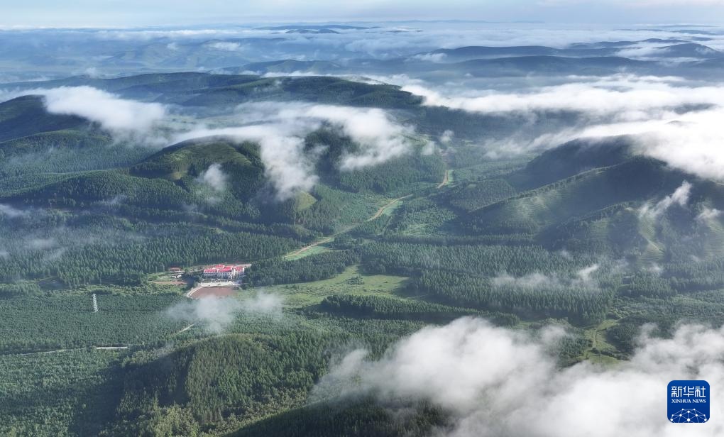 塞罕坝:浩瀚林海壮美如画 塞罕坝:浩瀚林海壮美如画