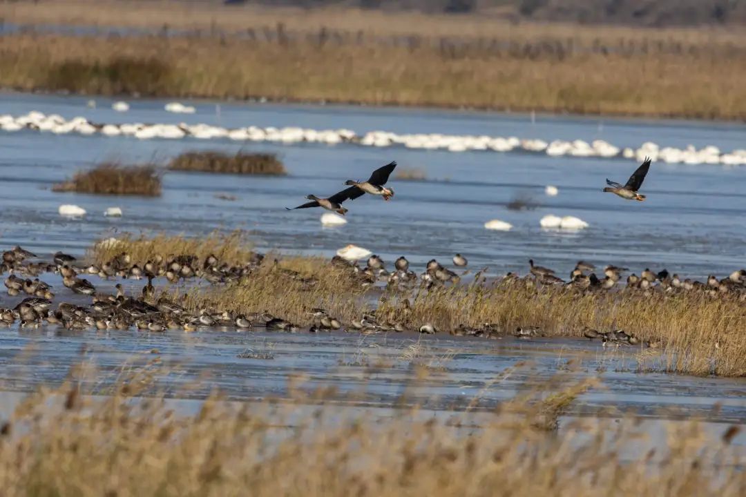 上海第一个“世界遗产”！为什么是它？