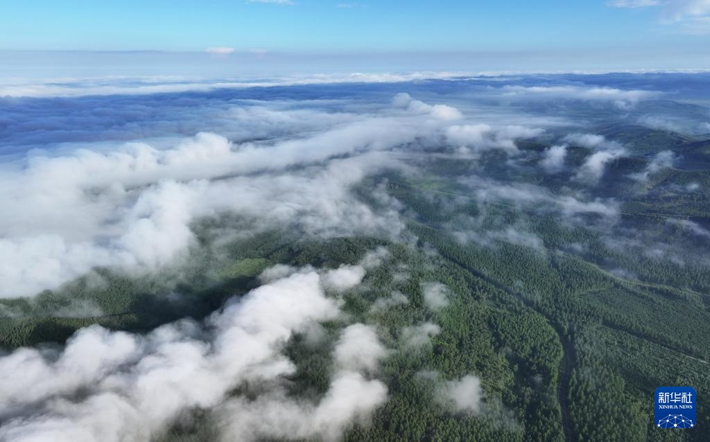 塞罕坝:浩瀚林海壮美如画 塞罕坝:浩瀚林海壮美如画