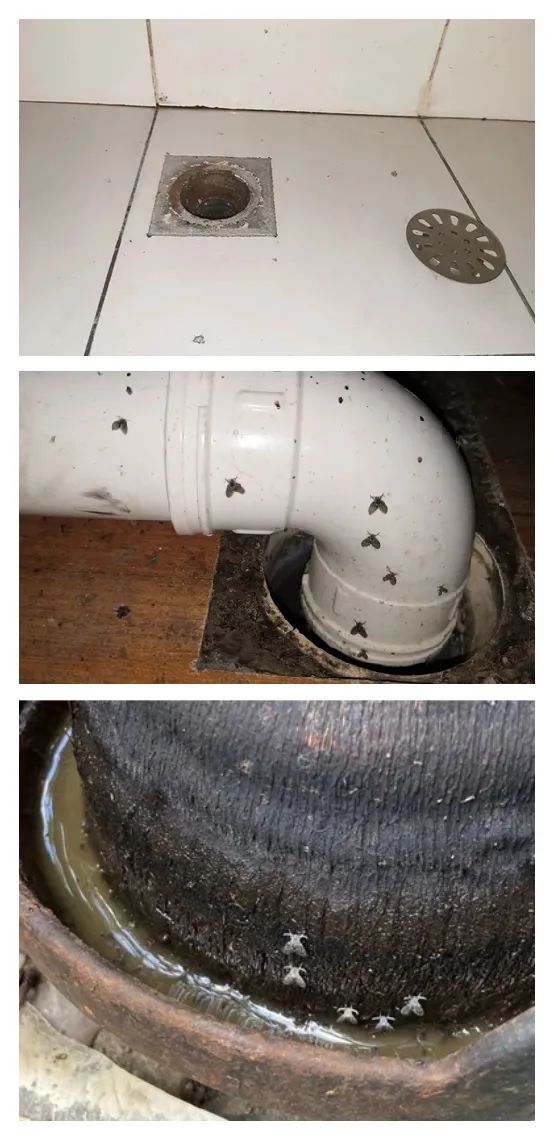 男子随手一拍,却被迫摘除眼球!最近很多人家里都有它 男子随手一拍,却被迫摘除眼球!最近很多人家里都有它