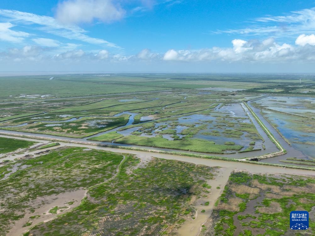 上海实现世界自然遗产“零”的突破 上海实现世界自然遗产“零”的突破