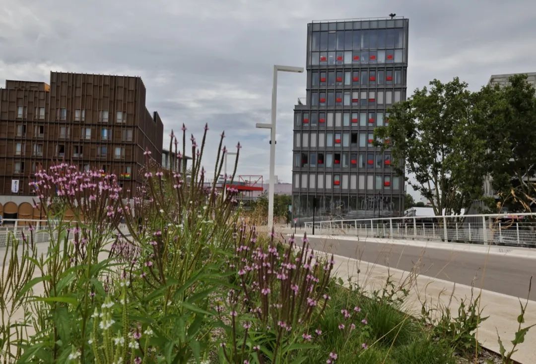 探访巴黎奥运村：运动员们生活得怎么样？