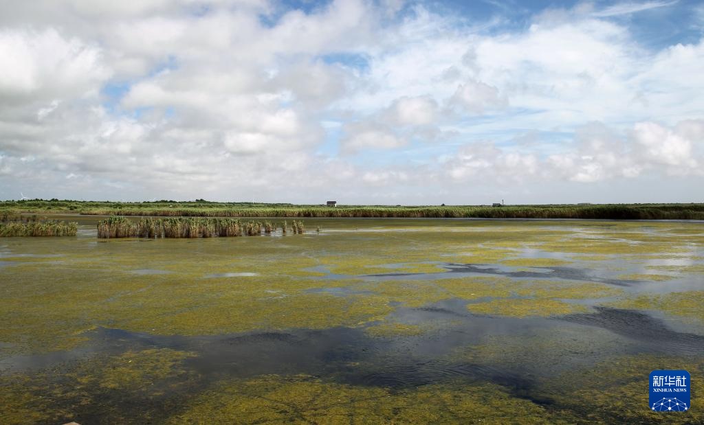 上海实现世界自然遗产“零”的突破 上海实现世界自然遗产“零”的突破