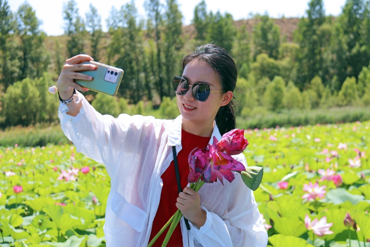 准格尔旗：荷花盛开迎客来 邂逅家门口的“诗和远方”