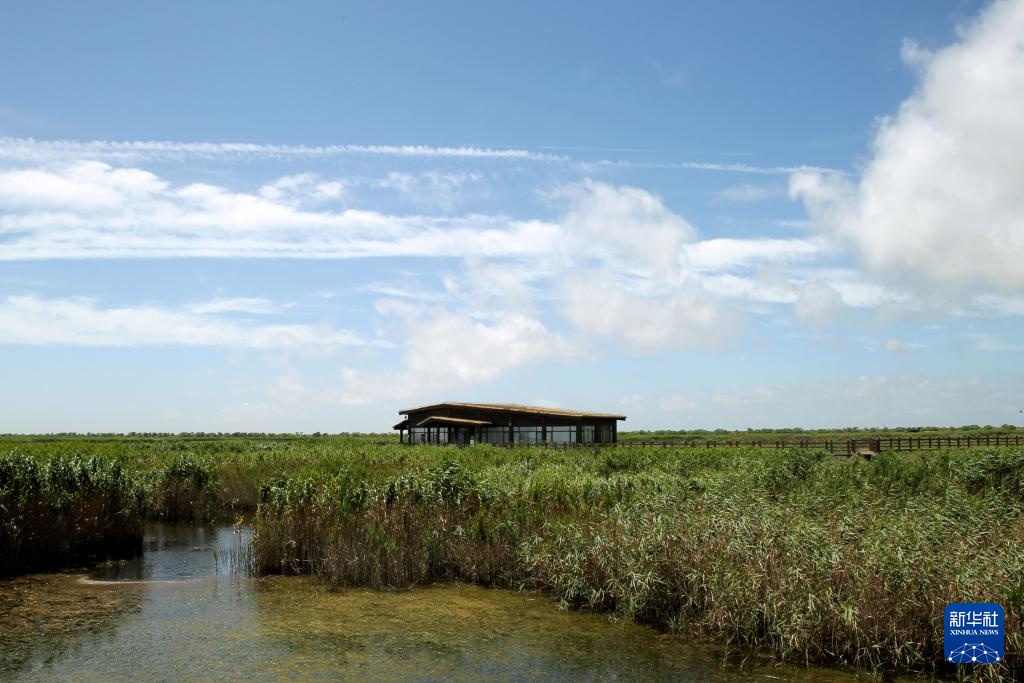 上海实现世界自然遗产“零”的突破 上海实现世界自然遗产“零”的突破