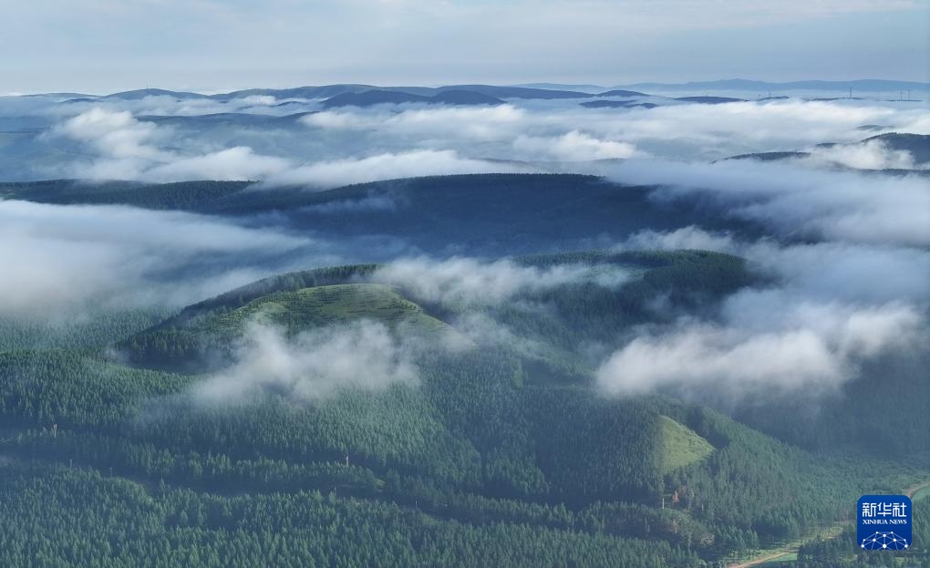 塞罕坝:浩瀚林海壮美如画 塞罕坝:浩瀚林海壮美如画