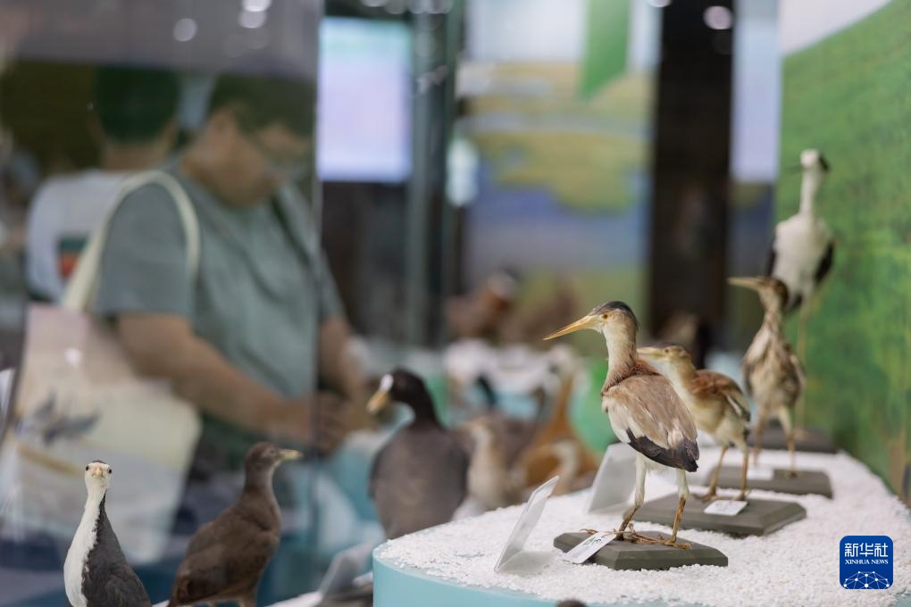 上海实现世界自然遗产“零”的突破 上海实现世界自然遗产“零”的突破