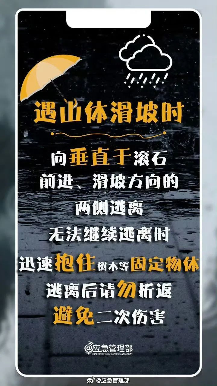 大雨到暴雨+大暴雨，河北发布大雾预警！台风“格美”要来，警惕强降雨
