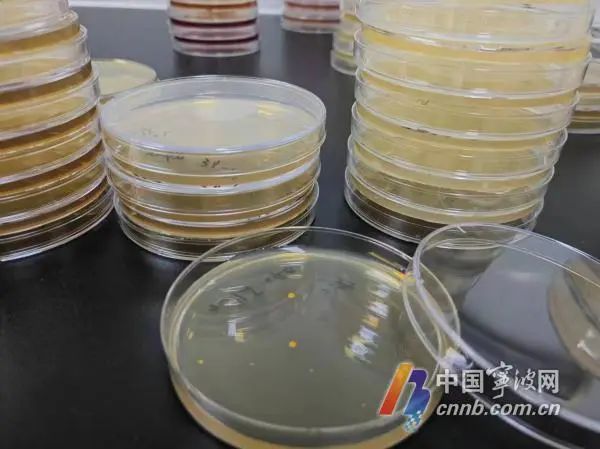 现制饮品2小时内饮用最佳?超过2小时还能不能喝?实验来揭秘→ 现制饮品2小时内饮用最佳?超过2小时还能不能喝?实验来揭秘→