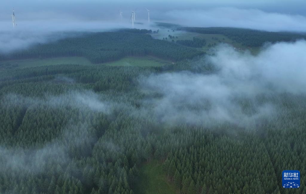 塞罕坝:浩瀚林海壮美如画 塞罕坝:浩瀚林海壮美如画