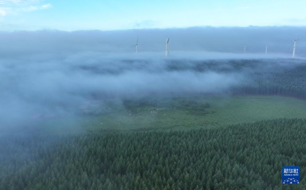 塞罕坝:浩瀚林海壮美如画 塞罕坝:浩瀚林海壮美如画