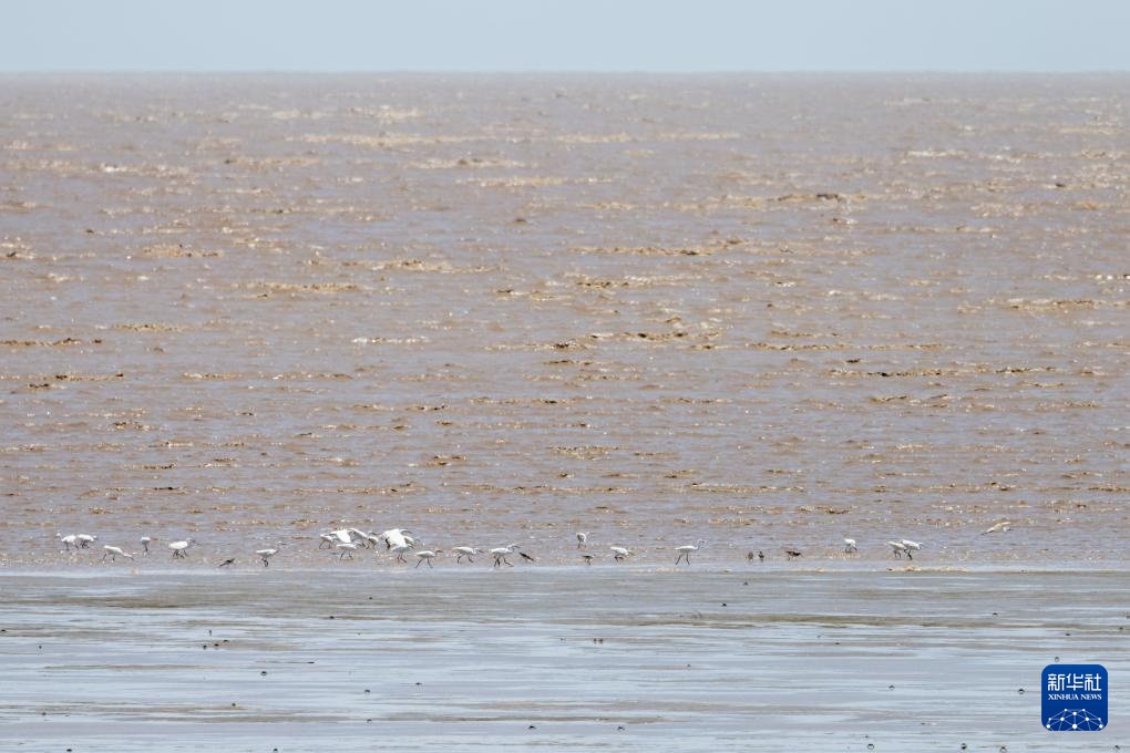上海实现世界自然遗产“零”的突破 上海实现世界自然遗产“零”的突破