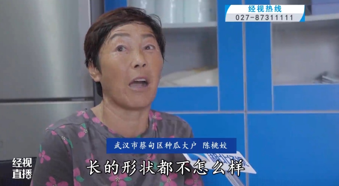 甜的齁！西瓜为何越来越甜？专家解释原因