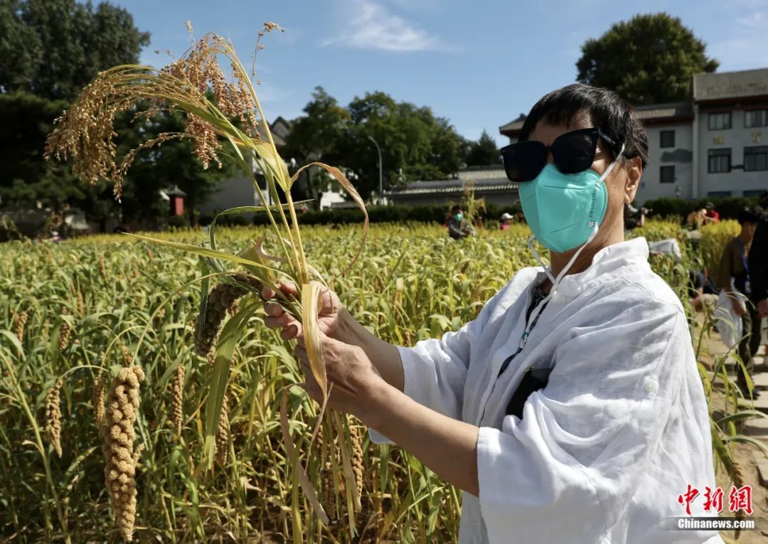 人这一辈子，一定要走一趟北京中轴线！
